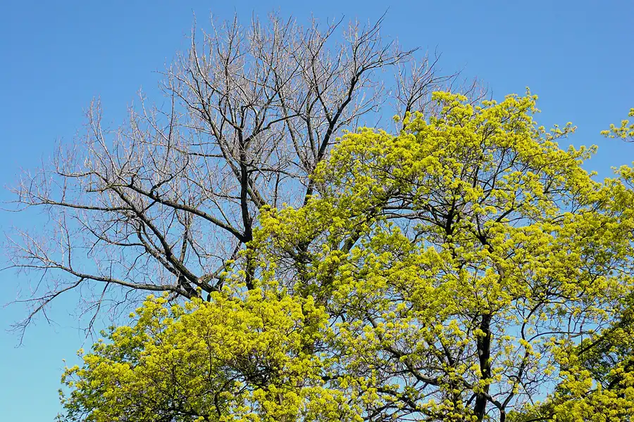 023 | 2007 | Berlin | © carsten riede fotografie