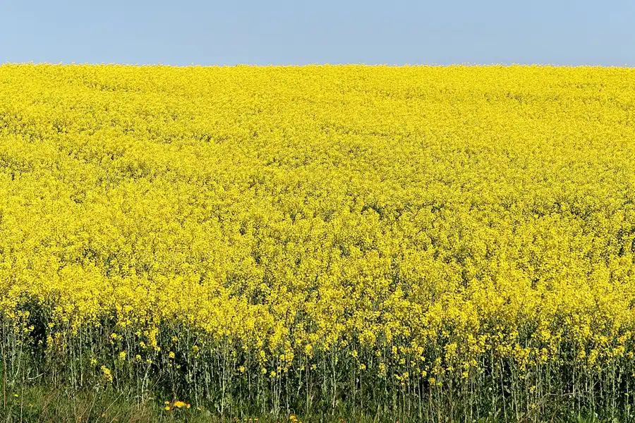 035 | 2007 | Wolgast | © carsten riede fotografie