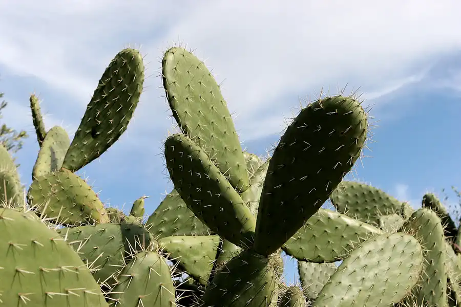 005 | 2007 | Arcos De La Frontera | © carsten riede fotografie