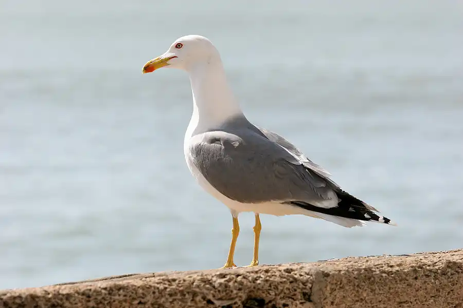 046 | 2007 | Cadiz | © carsten riede fotografie