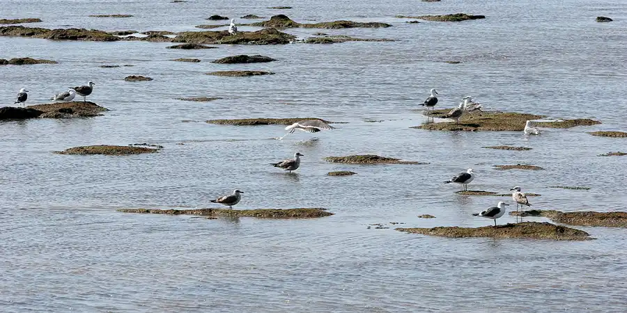058 | 2007 | Cadiz | © carsten riede fotografie
