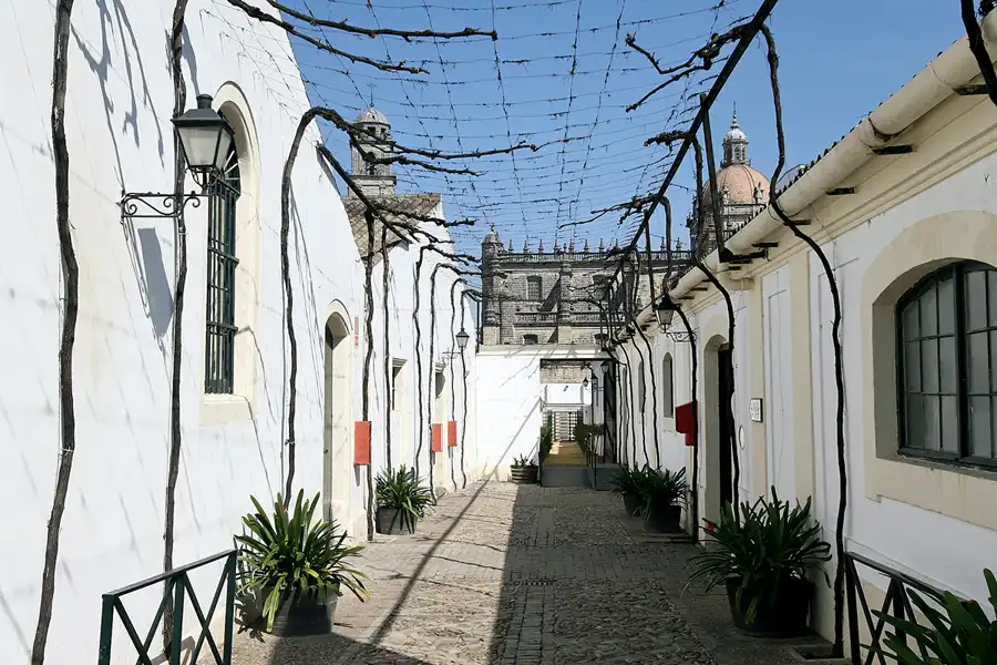 109 | 2007 | Jerez De La Frontera | Gonzales Byass – Tio Pepe | © carsten riede fotografie