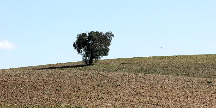 115 | 2007 | Laguna De Medina | © carsten riede fotografie