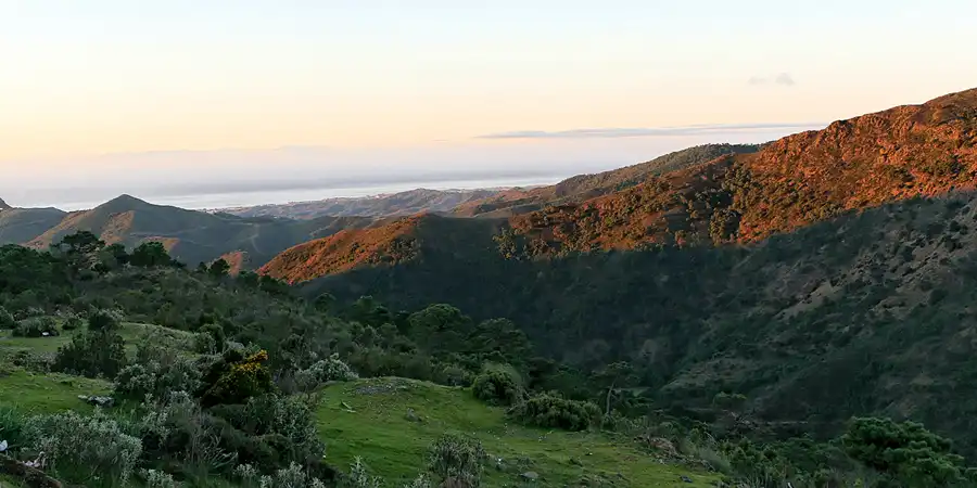 158 | 2007 | Ronda | San Pedro De Alcantara | © carsten riede fotografie
