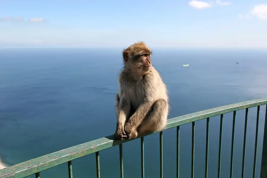 007 | 2007 | Gibraltar | © carsten riede fotografie