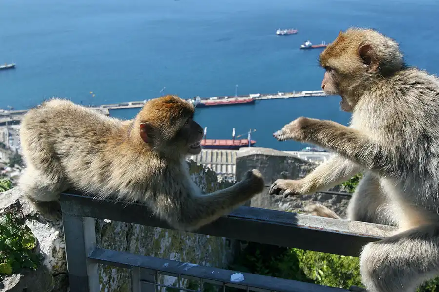 021 | 2007 | Gibraltar | © carsten riede fotografie
