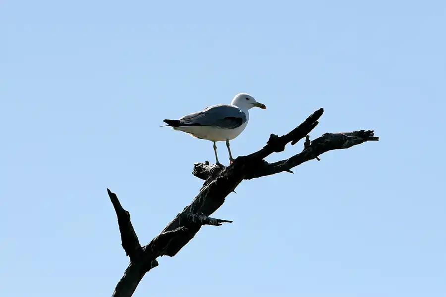 030 | 2007 | Gibraltar | © carsten riede fotografie