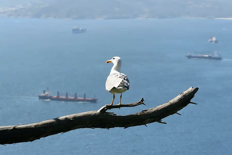 034 | 2007 | Gibraltar | © carsten riede fotografie