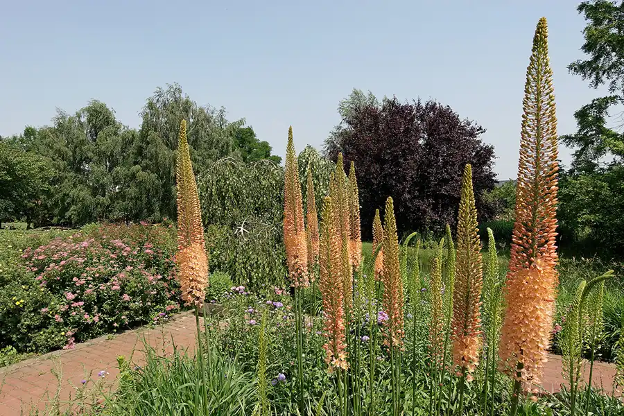 040 | 2007 | Berlin | Gärten der Welt im Erholungspark Marzahn | © carsten riede fotografie