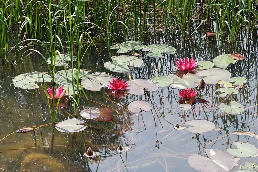 042 | 2007 | Berlin | Gärten der Welt im Erholungspark Marzahn | © carsten riede fotografie