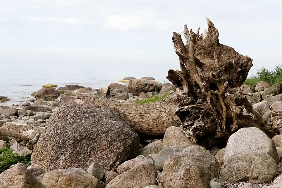 004 | 2007 | Lohme | © carsten riede fotografie