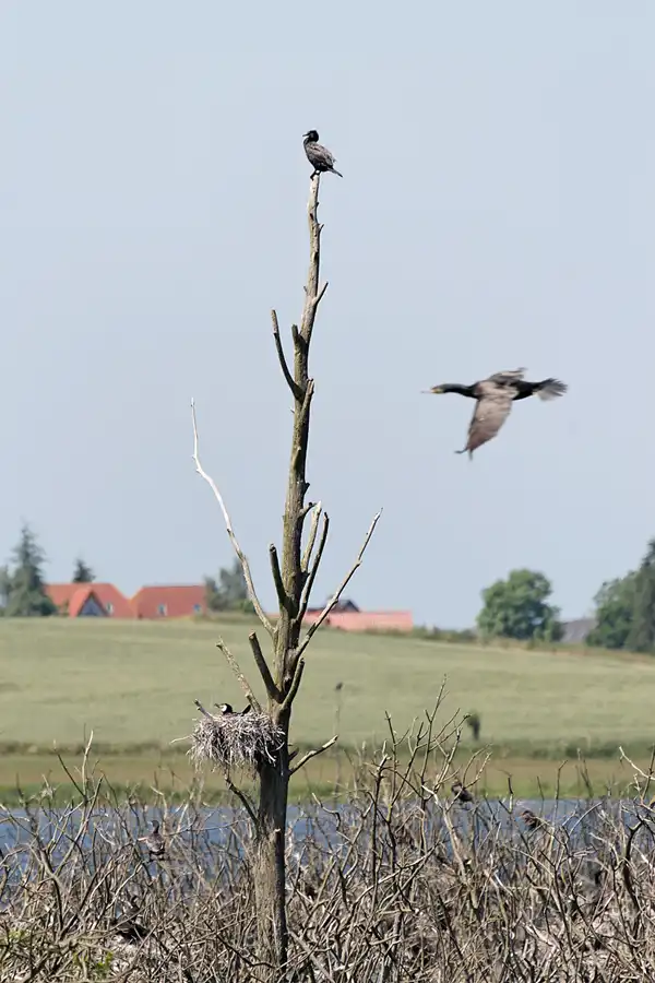 042 | 2007 | Bergen | Nonnensee | © carsten riede fotografie
