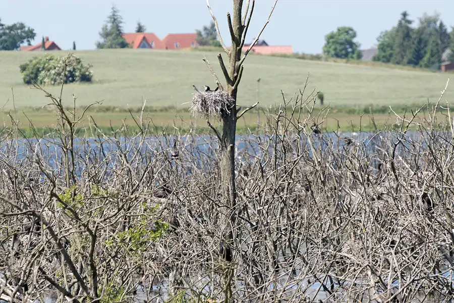 043 | 2007 | Bergen | Nonnensee | © carsten riede fotografie