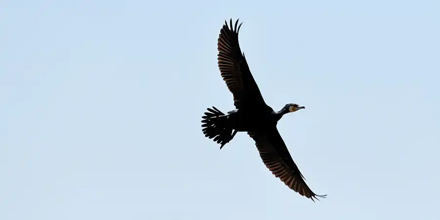 045 | 2007 | Bergen | Nonnensee | © carsten riede fotografie