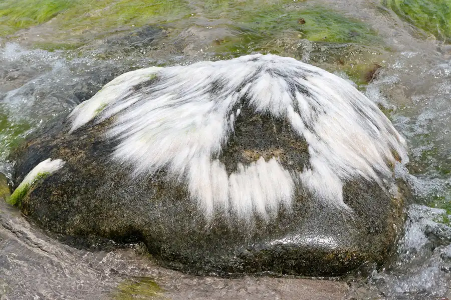 048 | 2007 | Kap Arkona | © carsten riede fotografie