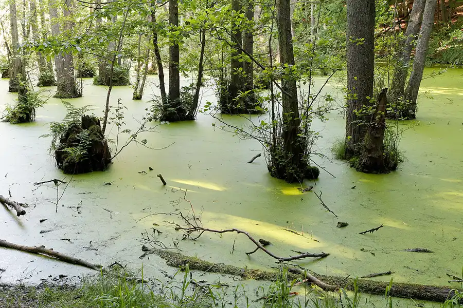 101 | 2007 | Rund um den Herthasee | © carsten riede fotografie