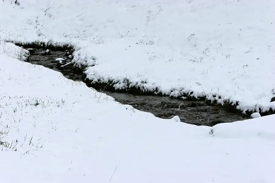022 | 2007 | Malbun | © carsten riede fotografie