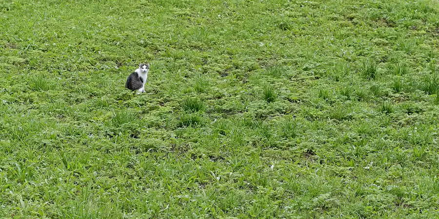 058 | 2007 | Triesenberg | © carsten riede fotografie