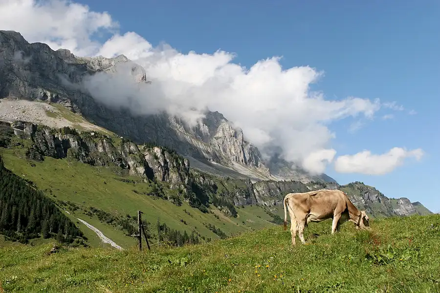 021 | 2007 | Klausenpass | © carsten riede fotografie