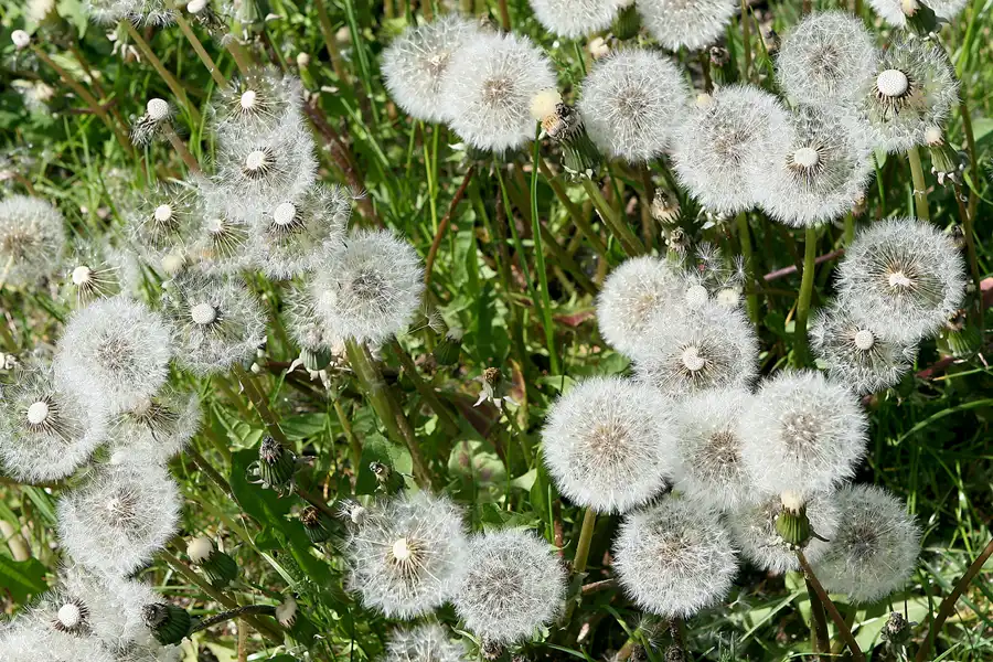 057 | 2008 | Elstal | © carsten riede fotografie