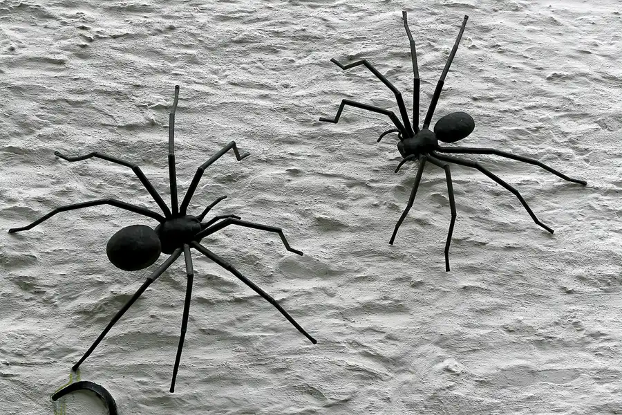 069 | 2008 | Monschau | © carsten riede fotografie