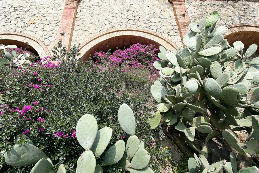 070 | 2008 | Barcelona | Placa del Doctor Andreu | © carsten riede fotografie