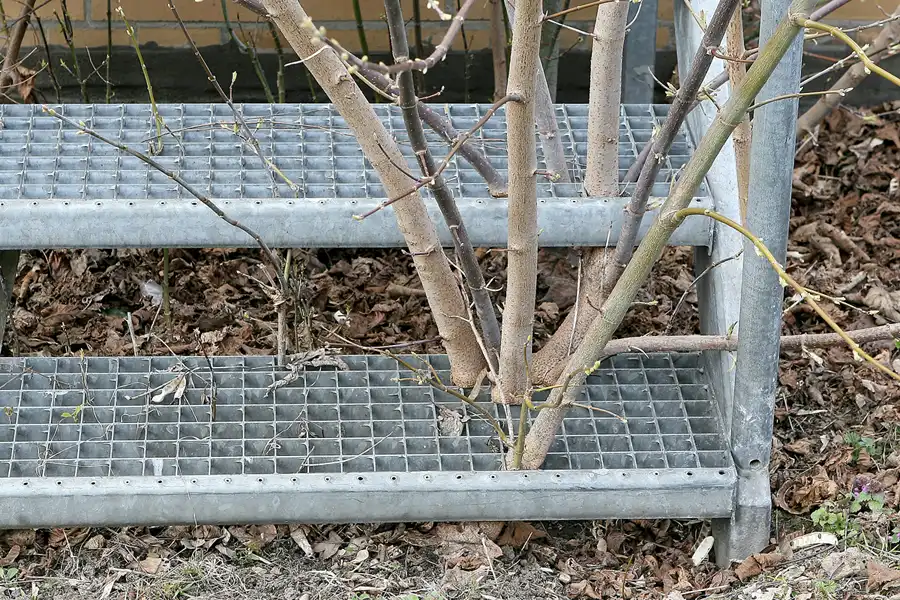 080 | 2008 | Berlin | Flughafen Tempelhof | © carsten riede fotografie