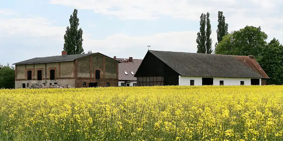 016 | 2008 | Görke | © carsten riede fotografie