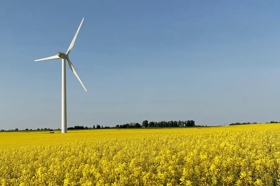 166 | 2008 | Vorpommern | © carsten riede fotografie