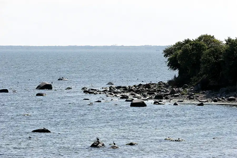 010 | 2008 | Greifswalder Oie | © carsten riede fotografie