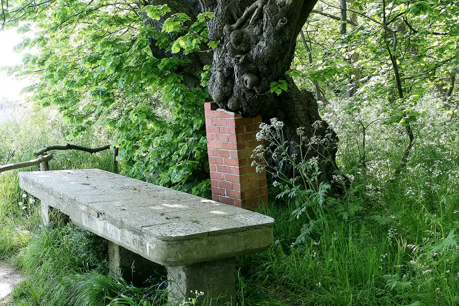 011 | 2008 | Greifswalder Oie | © carsten riede fotografie