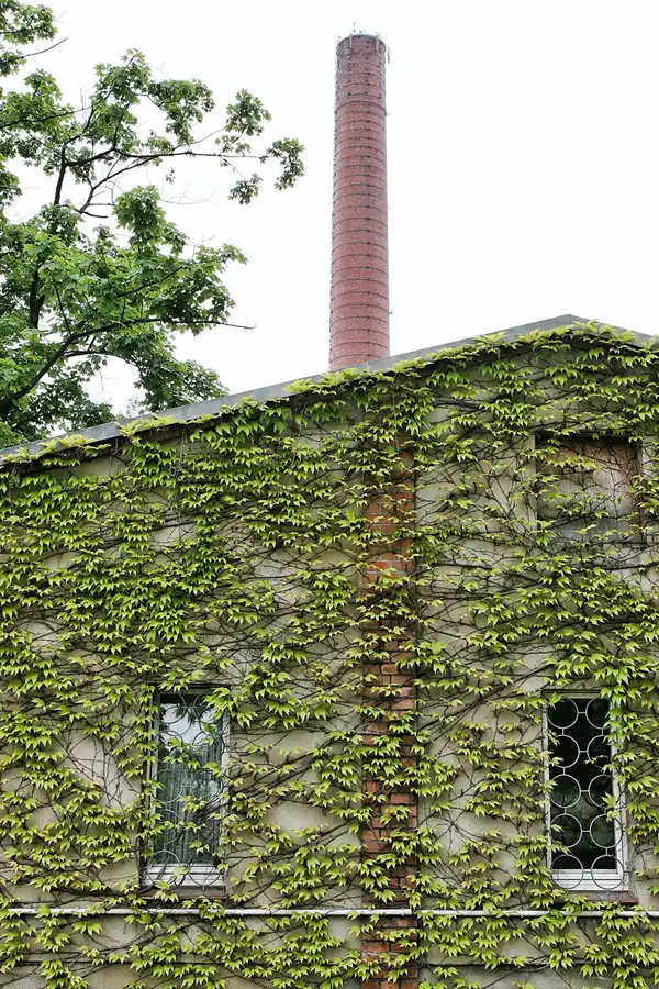 088 | 2008 | Knappenrode | Energiefabrik | © carsten riede fotografie