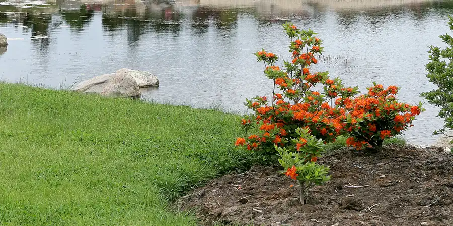 023 | 2008 | Nochten | Findlingspark | © carsten riede fotografie