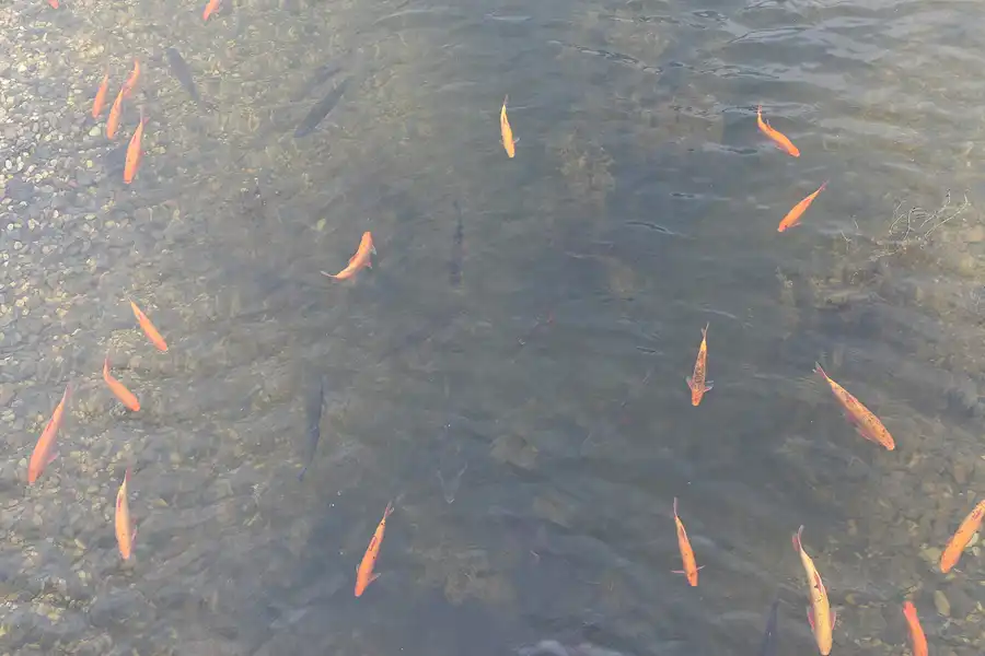 025 | 2008 | Nochten | Findlingspark | © carsten riede fotografie