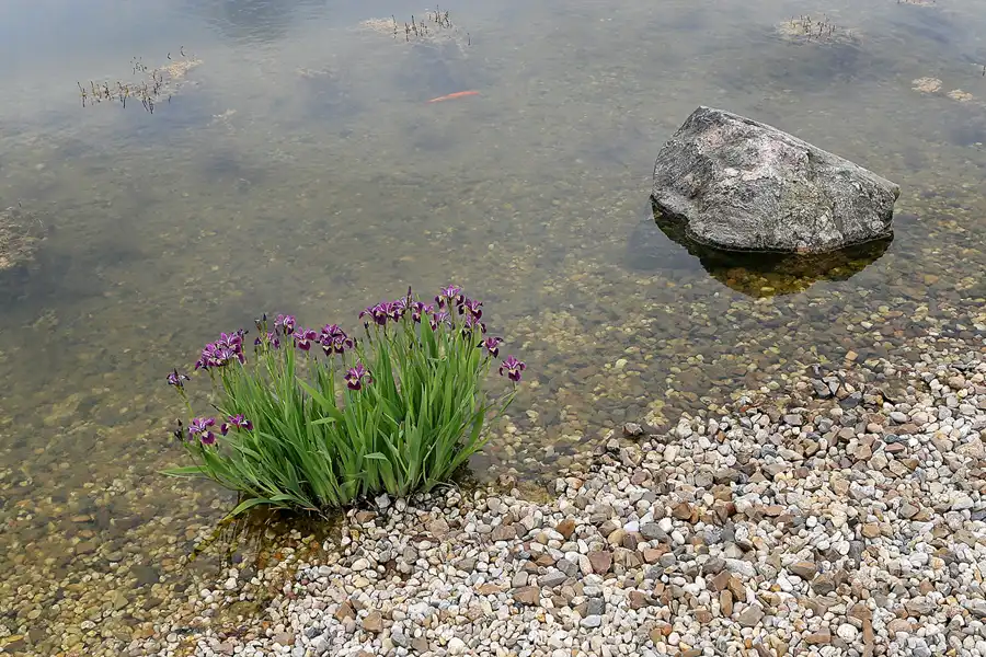 026 | 2008 | Nochten | Findlingspark | © carsten riede fotografie