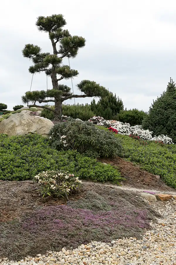 029 | 2008 | Nochten | Findlingspark | © carsten riede fotografie