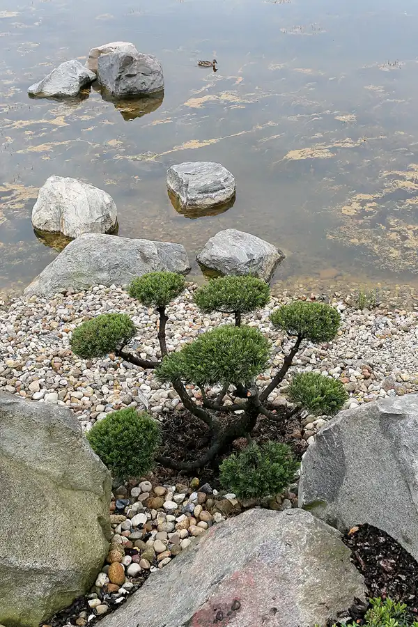 030 | 2008 | Nochten | Findlingspark | © carsten riede fotografie