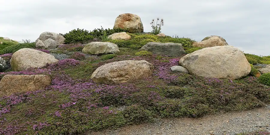 034 | 2008 | Nochten | Findlingspark | © carsten riede fotografie
