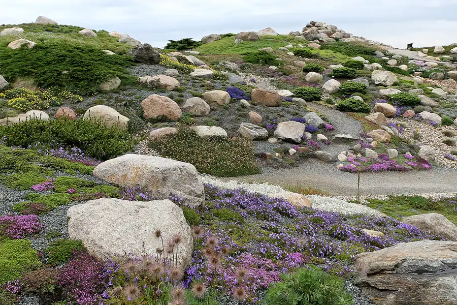 035 | 2008 | Nochten | Findlingspark | © carsten riede fotografie