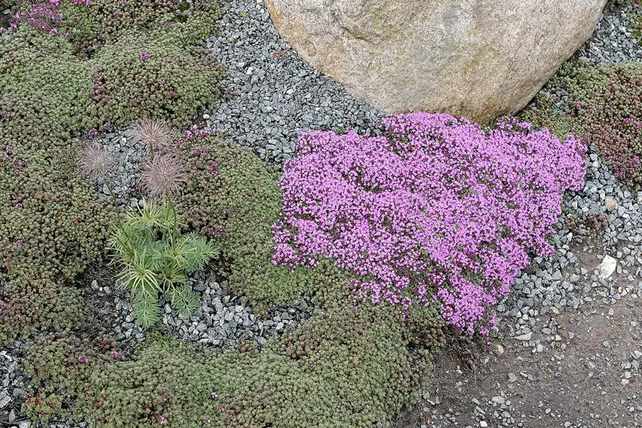 036 | 2008 | Nochten | Findlingspark | © carsten riede fotografie