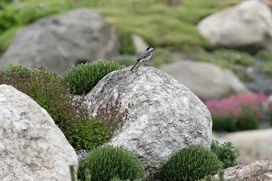 038 | 2008 | Nochten | Findlingspark | © carsten riede fotografie