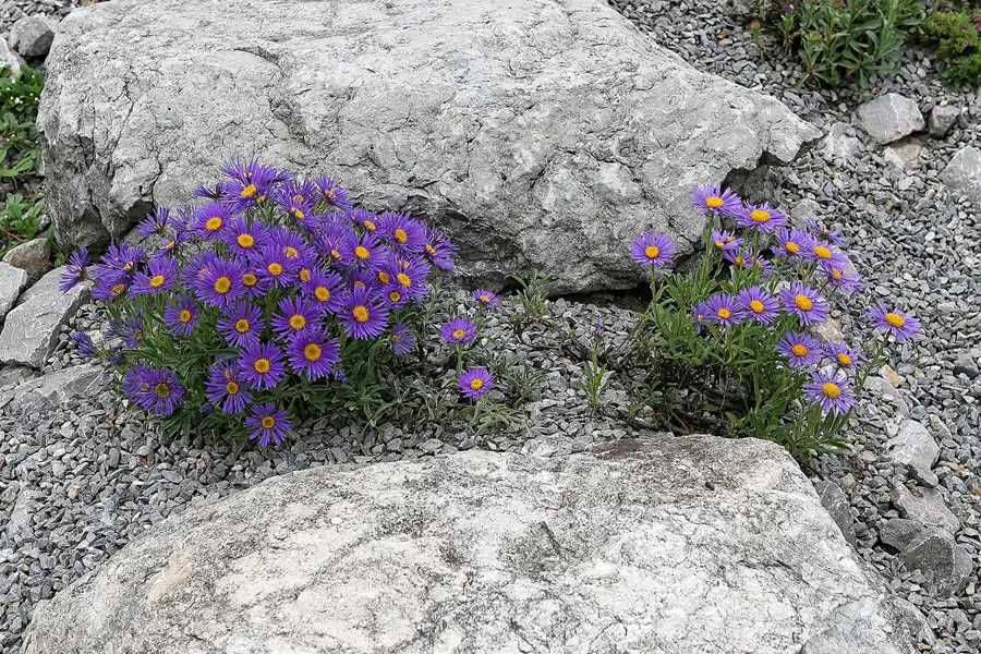 039 | 2008 | Nochten | Findlingspark | © carsten riede fotografie