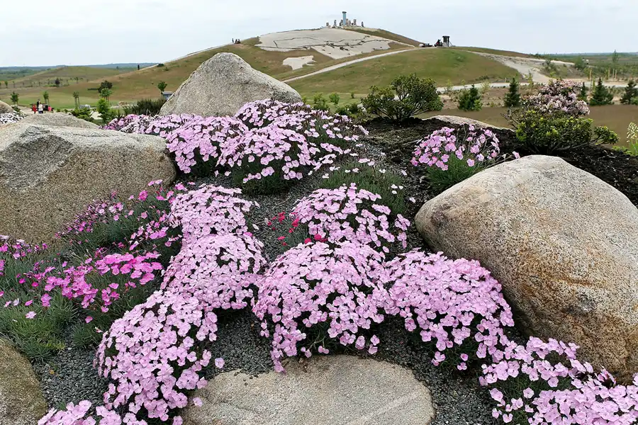 041 | 2008 | Nochten | Findlingspark | © carsten riede fotografie