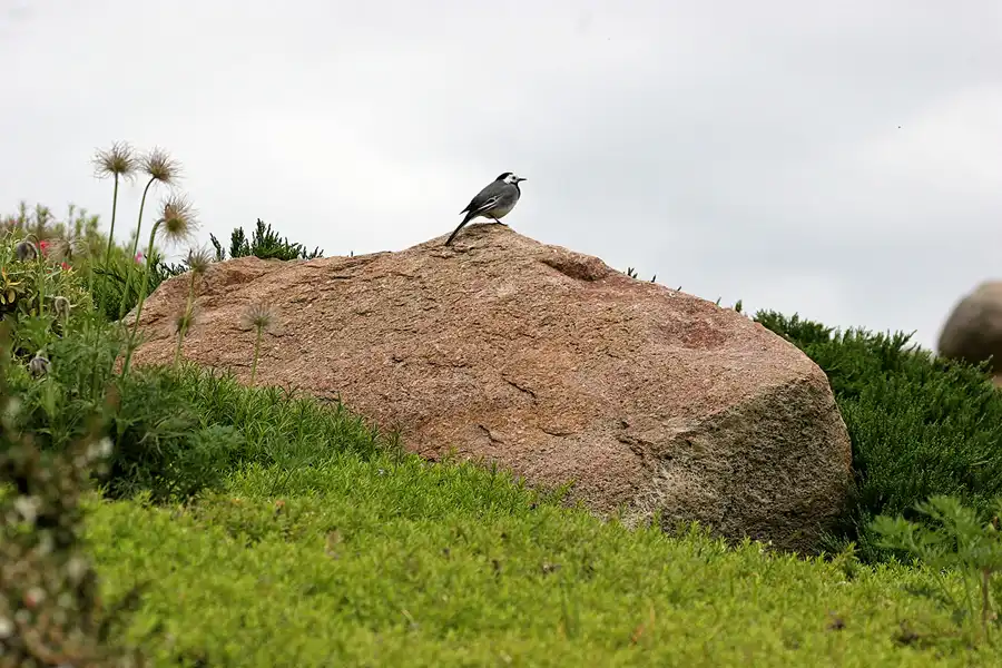 042 | 2008 | Nochten | Findlingspark | © carsten riede fotografie