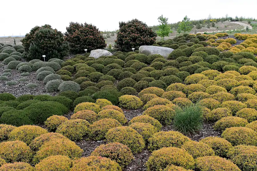 045 | 2008 | Nochten | Findlingspark | © carsten riede fotografie