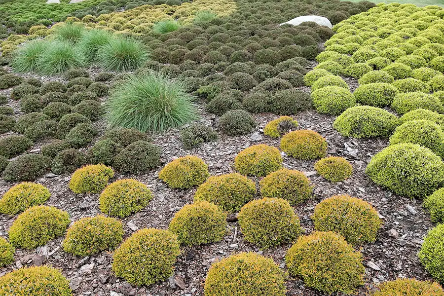 046 | 2008 | Nochten | Findlingspark | © carsten riede fotografie