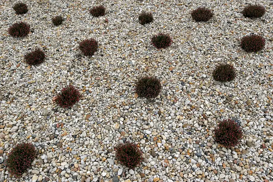 048 | 2008 | Nochten | Findlingspark | © carsten riede fotografie