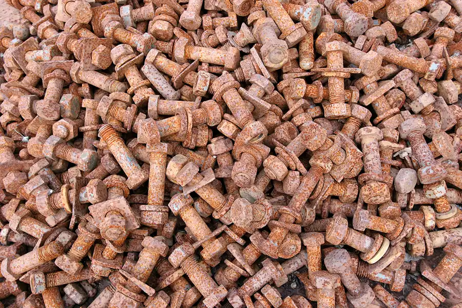 008 | 2008 | Berlin | Natur-Park Schöneberger Südgelände – ehemaliger Rangierbahnhof Tempelhof | © carsten riede fotografie