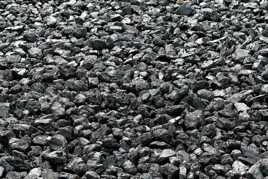 012 | 2008 | Berlin | Natur-Park Schöneberger Südgelände – ehemaliger Rangierbahnhof Tempelhof | © carsten riede fotografie