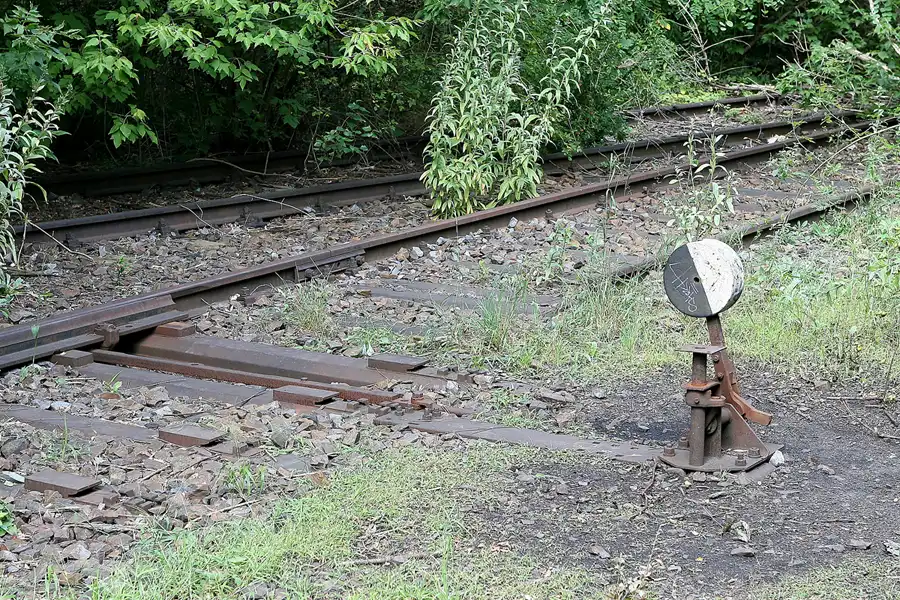 019 | 2008 | Berlin | Natur-Park Schöneberger Südgelände – ehemaliger Rangierbahnhof Tempelhof | © carsten riede fotografie